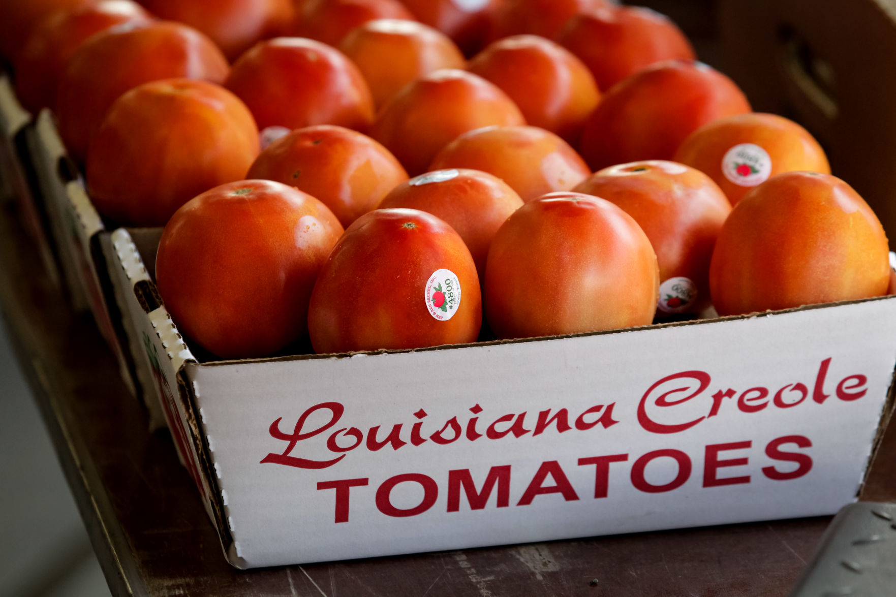 NO.tomatofest.060919.664.jpg